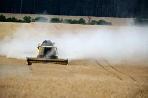 Sprzedam kombajn Bizon Rekord 1996 – zadbany, gotowy do żniw